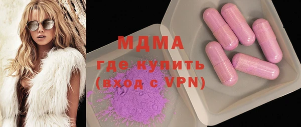 гашик Алексин