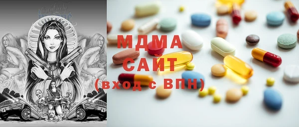 гашик Алексин
