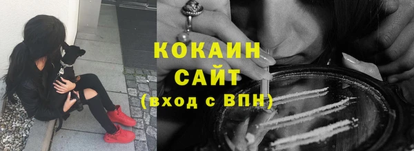 гашик Алексин