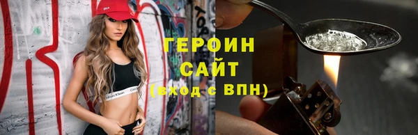 гашик Алексин