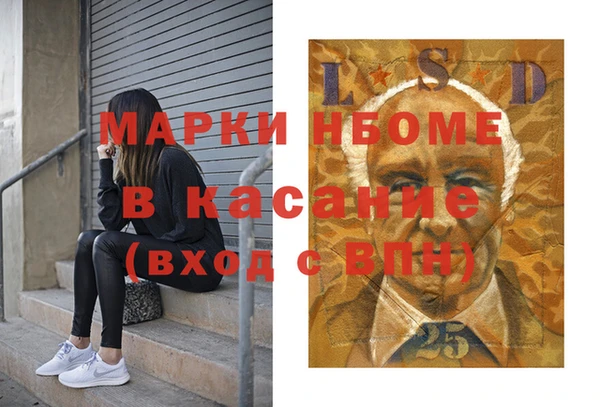 гашик Алексин