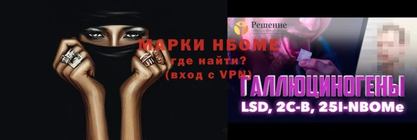 гашик Алексин