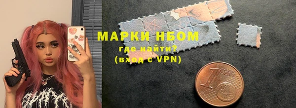 гашик Алексин
