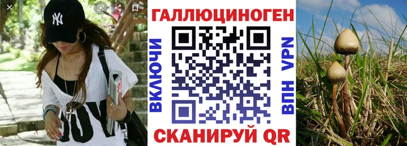 Галлюциногенные грибы мухоморы  Дзержинск 