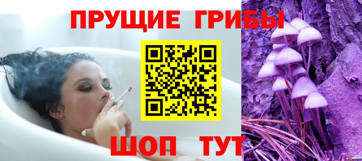 Дзержинск  Псилоцибиновые грибы Psilocybe  Вход с VPN 
